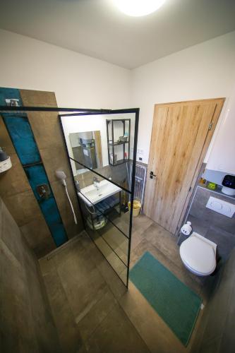 a bathroom with a toilet and a sink and a mirror at Hori Homes Apartman in Siófok