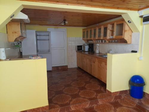 a large kitchen with wooden cabinets and a counter top at Cabana Ela&Mada in Gîrda de Sus