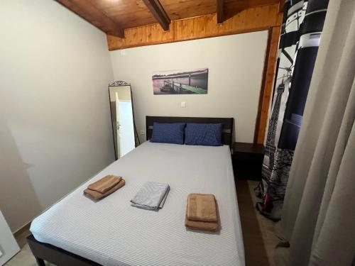 1 dormitorio con 1 cama en una habitación en Luxury house 15 minutes from ATH en Spáta