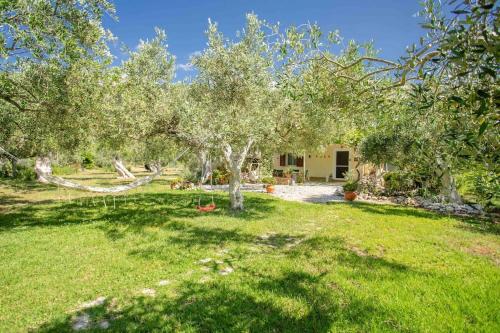 a yard with a tree and a house at Anthia private studio a breath away from beaches in Agios Nikitas
