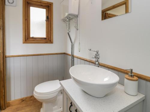 a bathroom with a white sink and a toilet at Tan Y Castell Shepherds Hut in Llangollen