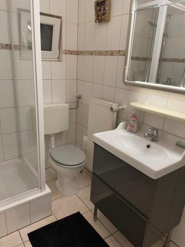 Laurenburg cosy apartment في Laurenburg: حمام مع حوض ومرحاض ودش