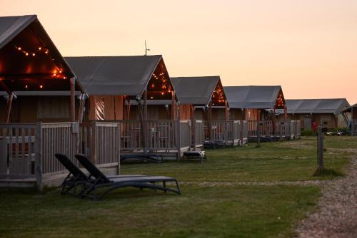 a row of lodges with chairs in front of them at Dutchen Erfgoedpark De Hoop Glamping in Uitgeest