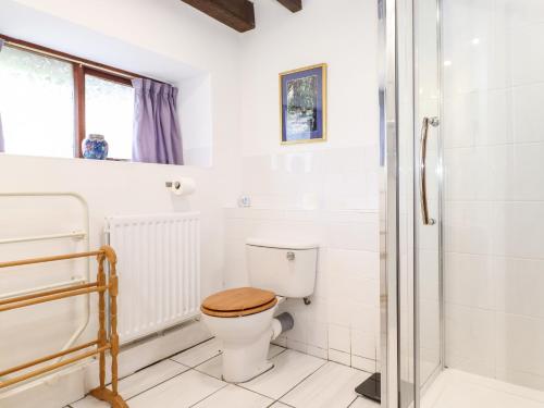 łazienka z toaletą i prysznicem w obiekcie Cranesbill Barn w mieście Kirkby Stephen