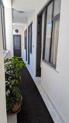un corridoio di un edificio con una pianta in un vaso di Guest House AZA a Pogradec