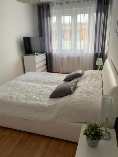 Posteľ alebo postele v izbe v ubytovaní Apartament Halina