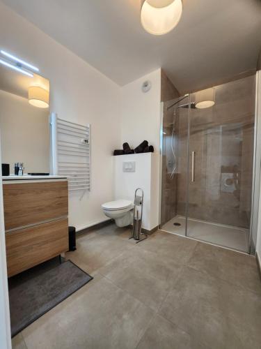 La salle de bains est pourvue de toilettes et d'une douche en verre. dans l'établissement Le Quai des Verts, à Caen