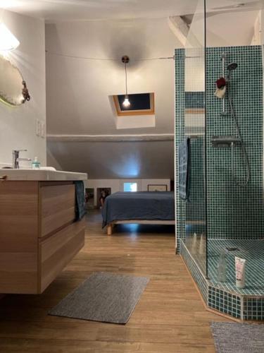 une salle de bain avec une douche et un lavabo et un lit dans l'établissement patio des capucins, à Arles