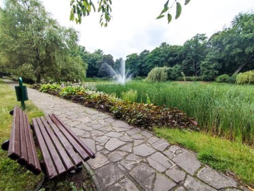 eine Parkbank neben einem Feld mit einem Brunnen in der Unterkunft Silesia Comforts Katowice, Chorzów SELF CHECK in Chorzów