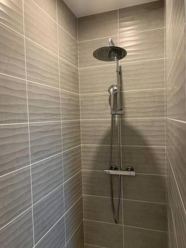 une douche avec pommeau de douche dans une salle de bain dans l'établissement Charmante Villa, à Châtellerault