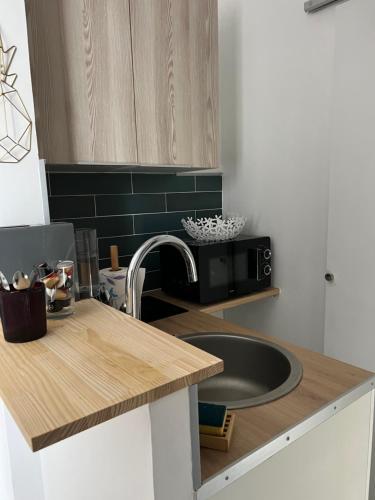 une cuisine avec un évier et un micro-ondes dans l'établissement Studio moderne tout confort, à Champigny-sur-Marne