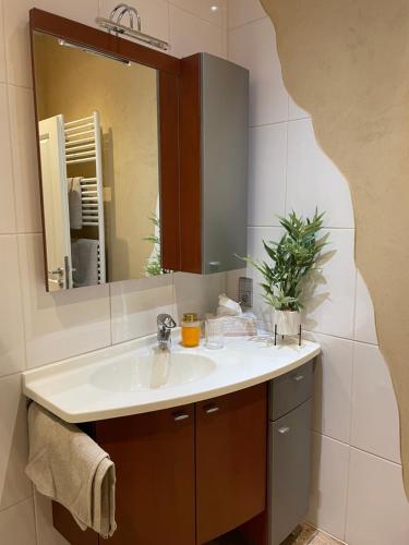 een badkamer met een wastafel en een spiegel bij Apart Loten in Eupen