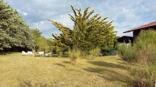 a yard with a table and chairs and a tree at Chalet Ricciano in Foligno
