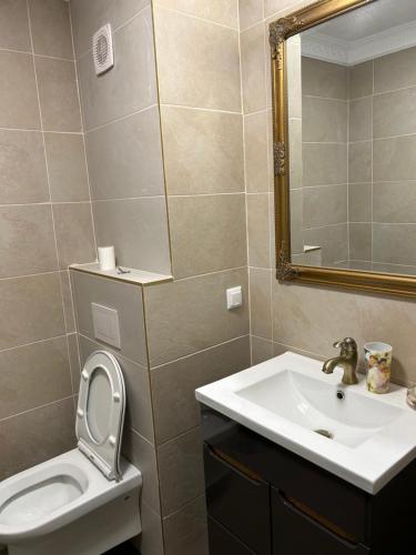 uma casa de banho com um lavatório, um WC e um espelho. em vivo residence ,AMETHYST em Floresti