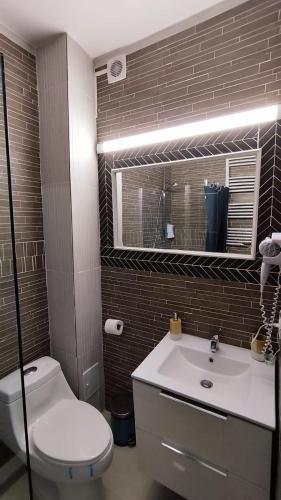 a bathroom with a white toilet and a sink at LA RĂSCRUCE DE APE in Suceviţa