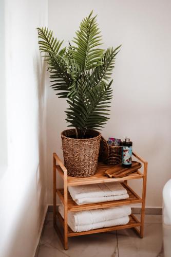 a plant in a basket on a wooden shelf with towels at Holiday House Sunset Spa in Šentjernej