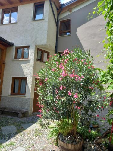 Valtellina Grosotto Holidays