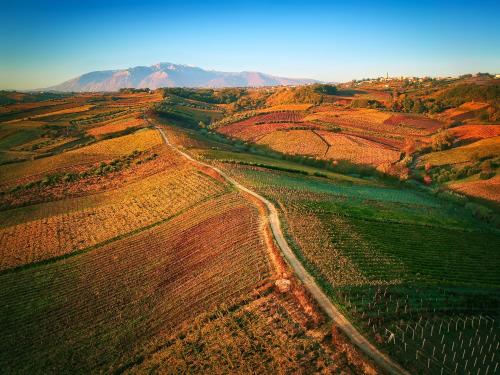 an aerial view of a field with a dirt road at la Casa del Vino - B&B in Tollo