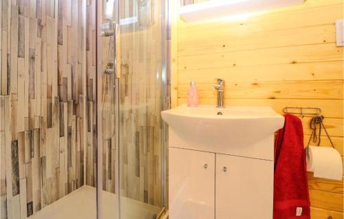 a bathroom with a sink and a shower at Nice Home In Mayrhof With Wifi And 1 Bedrooms 