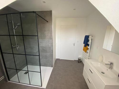La salle de bains est pourvue d'une douche et d'un lavabo. dans l'établissement Appartement T3 en plein cœur du centre-ville, à Soissons