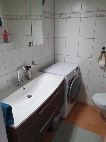 een badkamer met een wastafel en een wasmachine bij über den Dächern von Wolfsburg in Wolfsburg