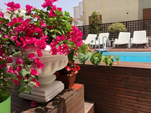 a large white vase filled with pink flowers next to a pool at Sunrise Hotel Cameria in Durrës
