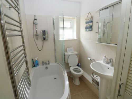 a bathroom with a shower and a toilet and a sink at The Donkey Den in Sidmouth