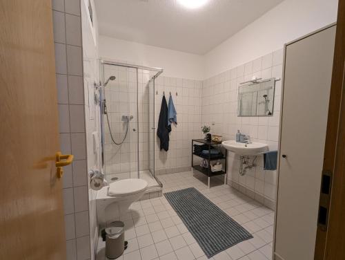 La salle de bains est pourvue d'une douche, de toilettes et d'un lavabo. dans l'établissement Wohnung in Hallischer Innenstadt, à Halle-sur-Saale