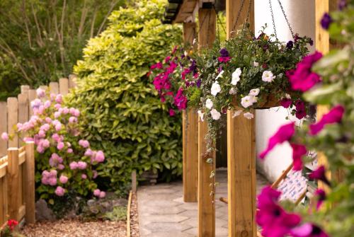 a garden with flowers hanging from a wooden fence at James' Place at The Park in Merthyr Tydfil