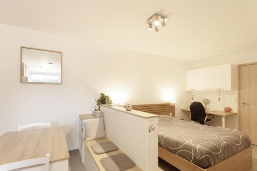 a bedroom with a bed and a desk in a room at Logement équipé in Saint-Paul-de-Varax