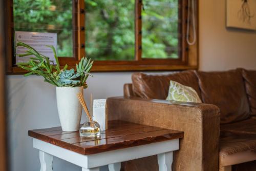 a living room with a table with a vase on it at Thunzi Bush Lodge in Beachview