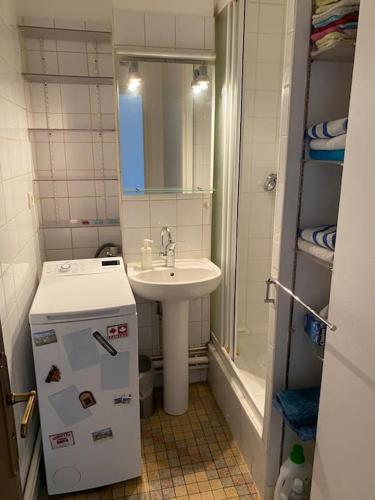 une petite salle de bain avec un lavabo et un évier dans l'établissement Appartement lumineux Vue montagne Centre Grenoble pour ski ou randonnées, à Grenoble