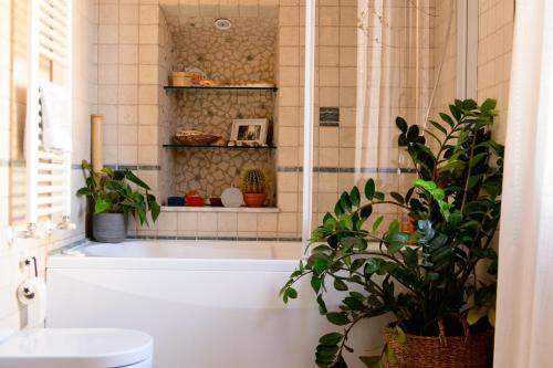 een badkamer met een bad met een plant bij Mimma bed&flavour in Narni