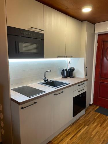 a kitchen with a sink and a microwave at Bungalov na vode - Lobster in Senec