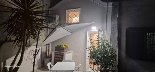 トッレ・デル・グレーコにあるLa Casa di Leoの白い椅子と窓、植物が備わるお部屋