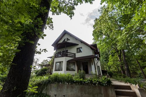 uma casa branca com uma árvore em frente em Casa Mariei - Vila Breaza em Nistoreşti