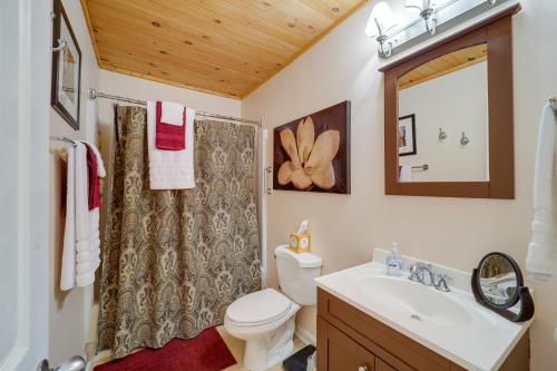 y baño con aseo, lavabo y espejo. en Beech Mountain Vacation Rental - Hike, Bike and Ski!, en Beech Mountain