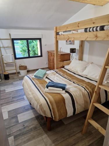 a bedroom with a bunk bed and a ladder at Gite de charme La Martinelle in La Bégude-de-Mazenc