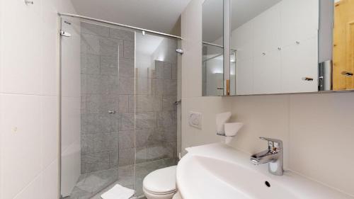 サンモリッツにあるSurlej 34のバスルーム(トイレ、洗面台、シャワー付)