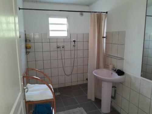 een badkamer met een douche en een wastafel bij Résidence de l'Est in Saint-André