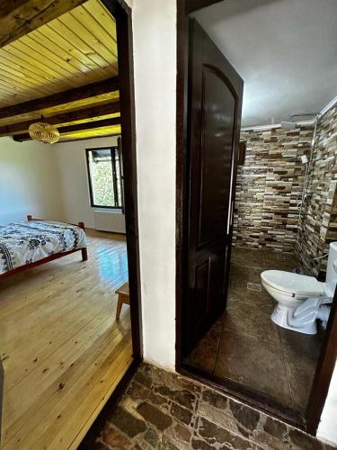 ein Zimmer mit Badezimmer mit Toilette und Bett in der Unterkunft Casa Sufletului in Avram Iancu