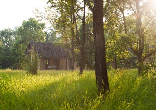 a house in the middle of a field with trees at Tiger Tops Karnali Lodge in Bardia