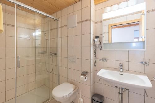 a bathroom with a shower and a toilet and a sink at Appartmenthaus Bergfreund in Fiesch