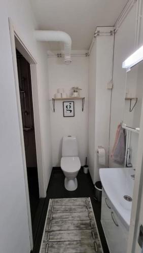 a small bathroom with a toilet and a sink at Mini Honkamaja in Kokkola
