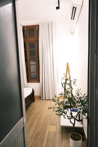 a living room with a potted plant on a wooden floor at Okaeri Homestay in Hanoi