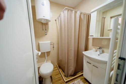 a bathroom with a toilet and a sink and a shower at Apartmani Šarović Tara in Rača