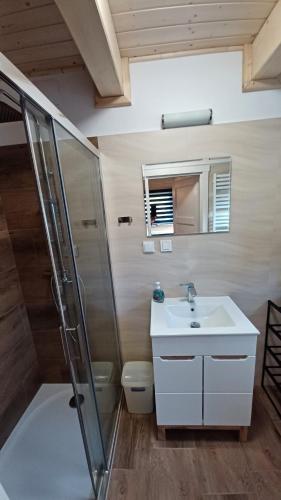 a bathroom with a sink and a shower and a toilet at Chata Hanusi in Szczyrk