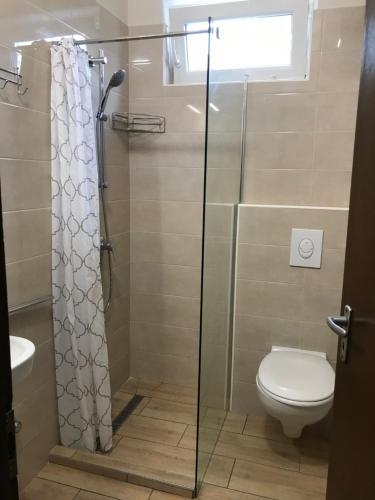 a bathroom with a toilet and a glass shower at Lukács nyaralóház in Balatonfenyves
