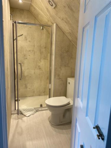 a small bathroom with a toilet and a shower at West Loch House in West Tarbert