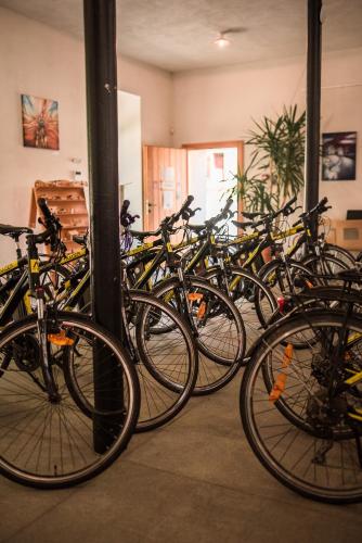 Vélo sur le terrain de l'établissement Posedy Panský dvůr Telč ou dans les environs
